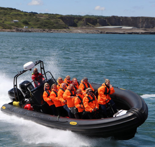 1742401231rib3.jpg